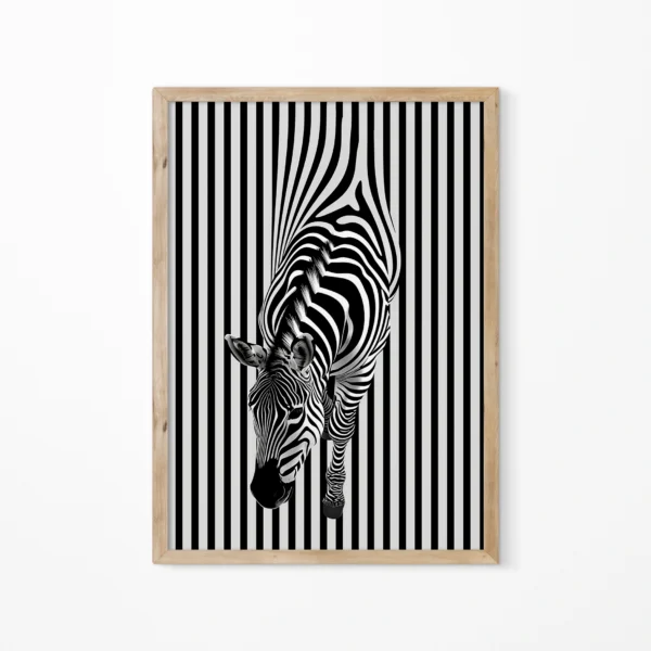 Zebra full 1 תמונת פוסטר עם מסגרת לבחירה חיות זברה שחור לבן