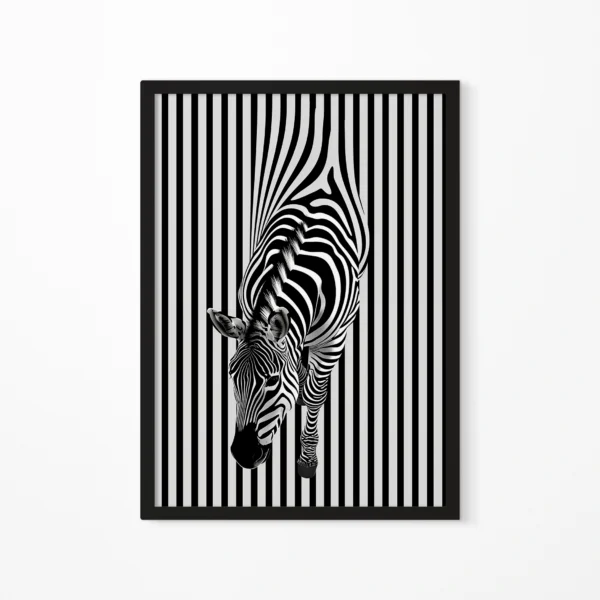 Zebra full תמונת פוסטר עם מסגרת לבחירה חיות זברה שחור לבן