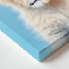 פורטרט של גור אריות צעיר ומתוק עם עיניים כחולות על רקע תכלת בהיר