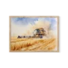 הדפס צבעי מים של טרקטור קומביין קוצר חיטה בשדה זהוב רחב תחת שמי קיץ כחולים עם עננים.